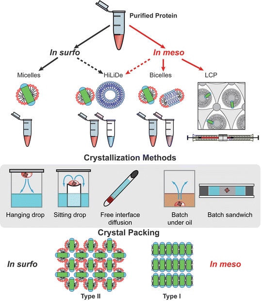 Crystallization Of Membrane Proteins An Overview Springerlink