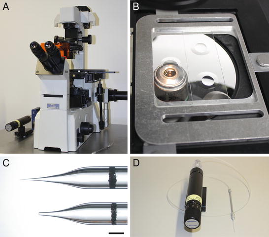 Download Gonotec Osmomat 030 Manual