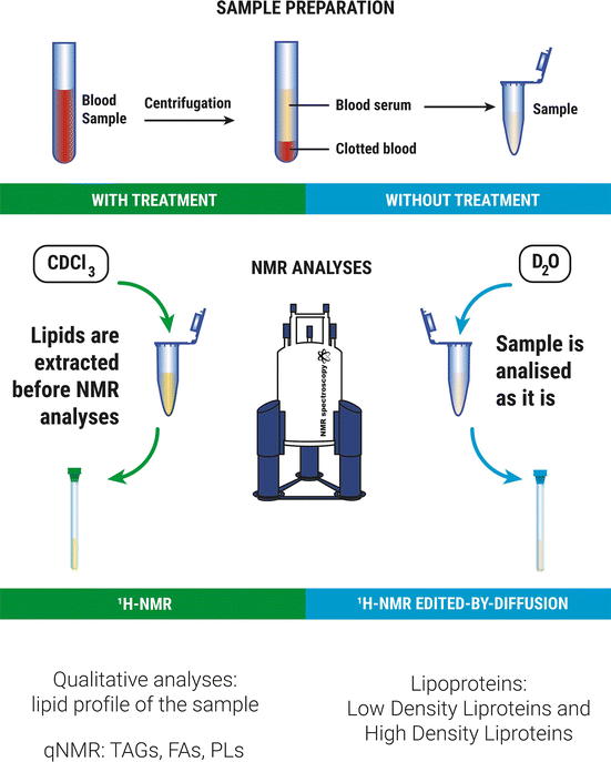 Qualitative and Quantitative NMR Approaches in Blood Serum Lipidomics