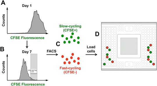 Single-Cell RNA Sequencing of Glioblastoma Cells | SpringerLink