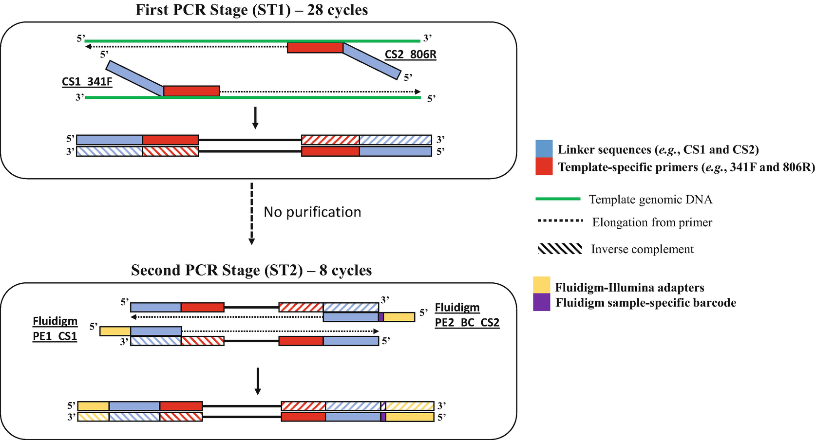 Making And Sequencing Heavily Multiplexed High Throughput 16s Ribosomal Rna Gene Amplicon Libraries Using A Flexible Two Stage Pcr Protocol Springerlink