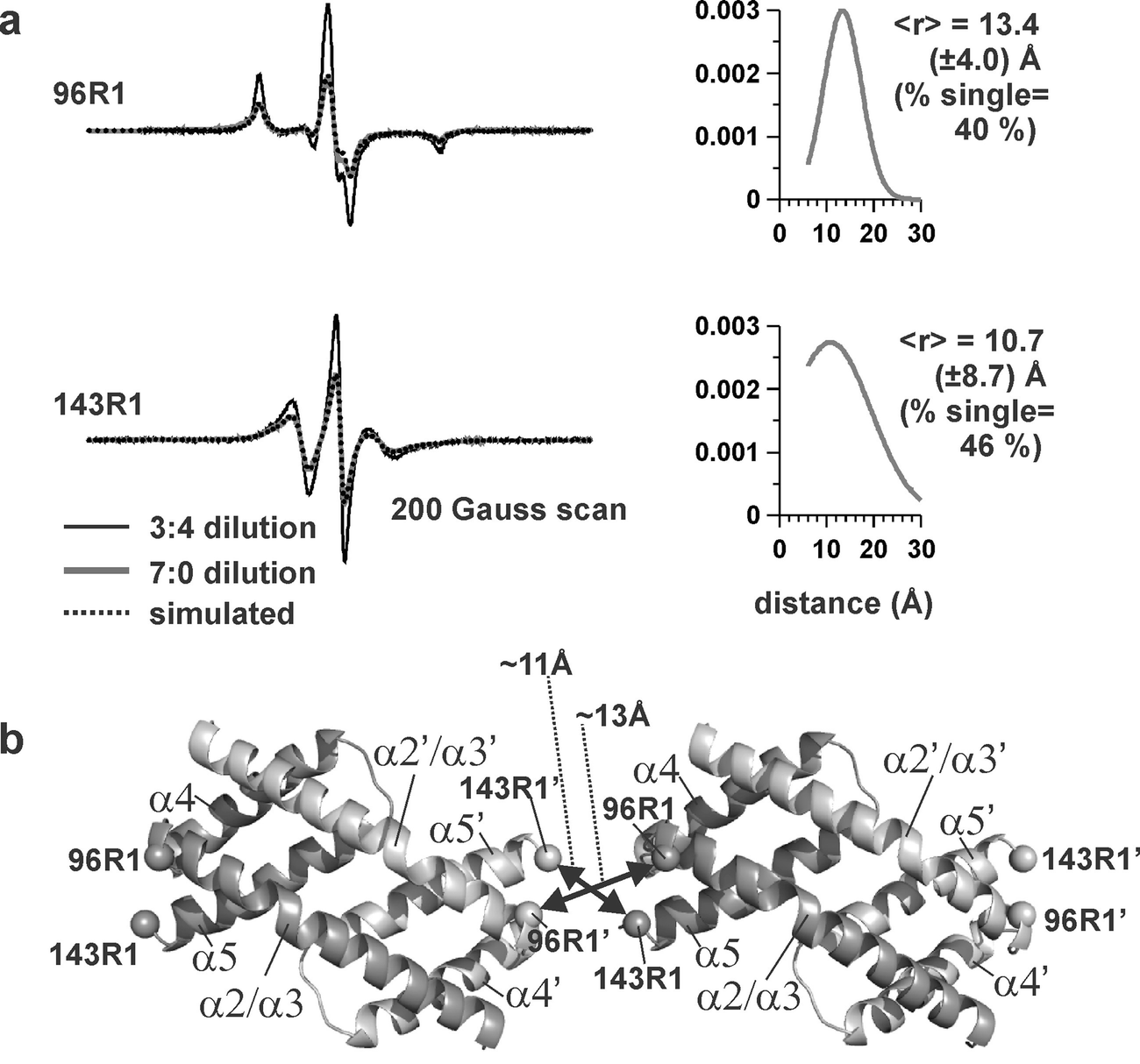 open image in new window Array - cw epr and deer methods to determine bcl 2  family protein structure rh link
