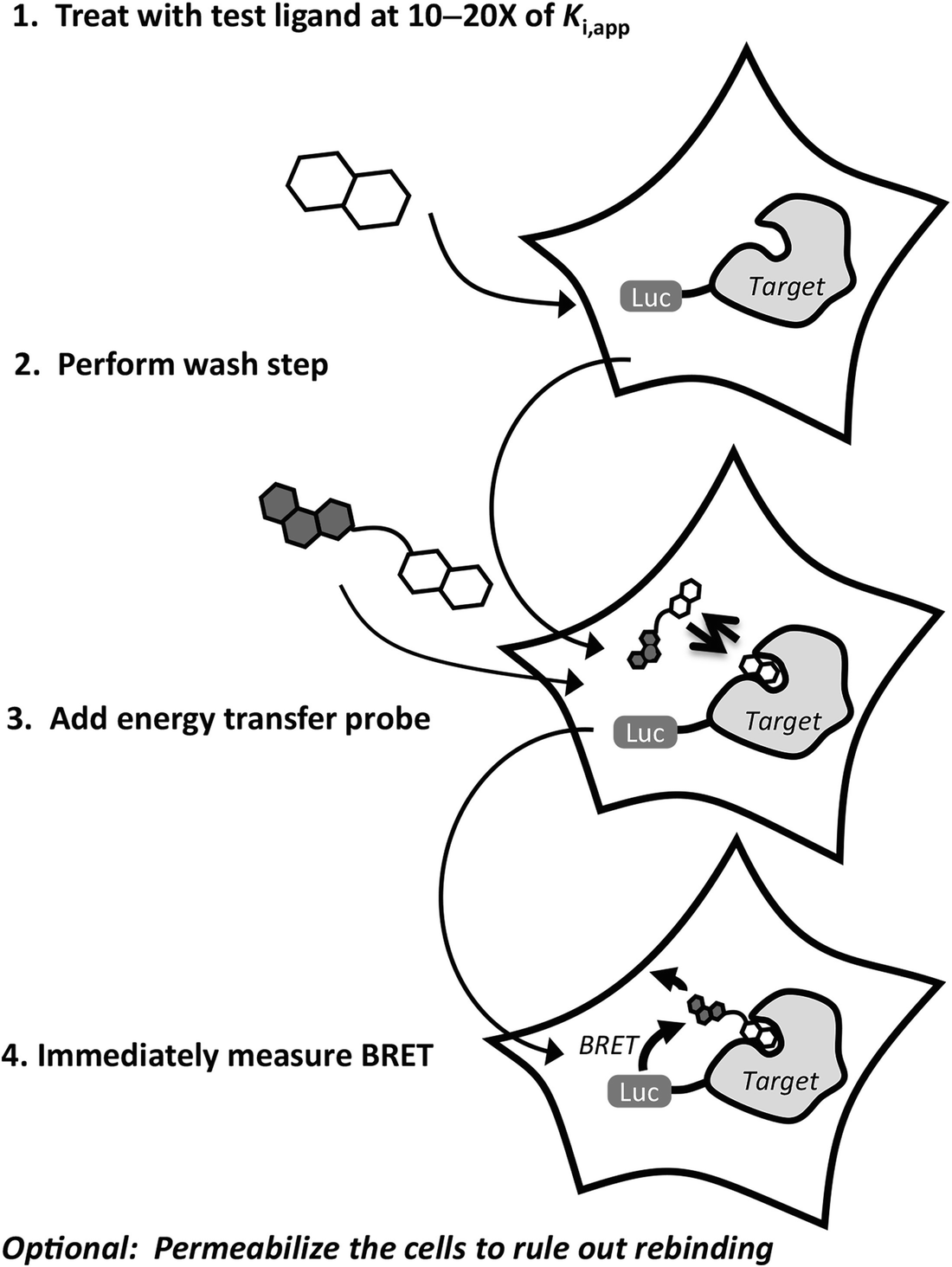 Quantitative Real Time Measurements Of Intracellular Target Engagement Using Energy Transfer Springerlink
