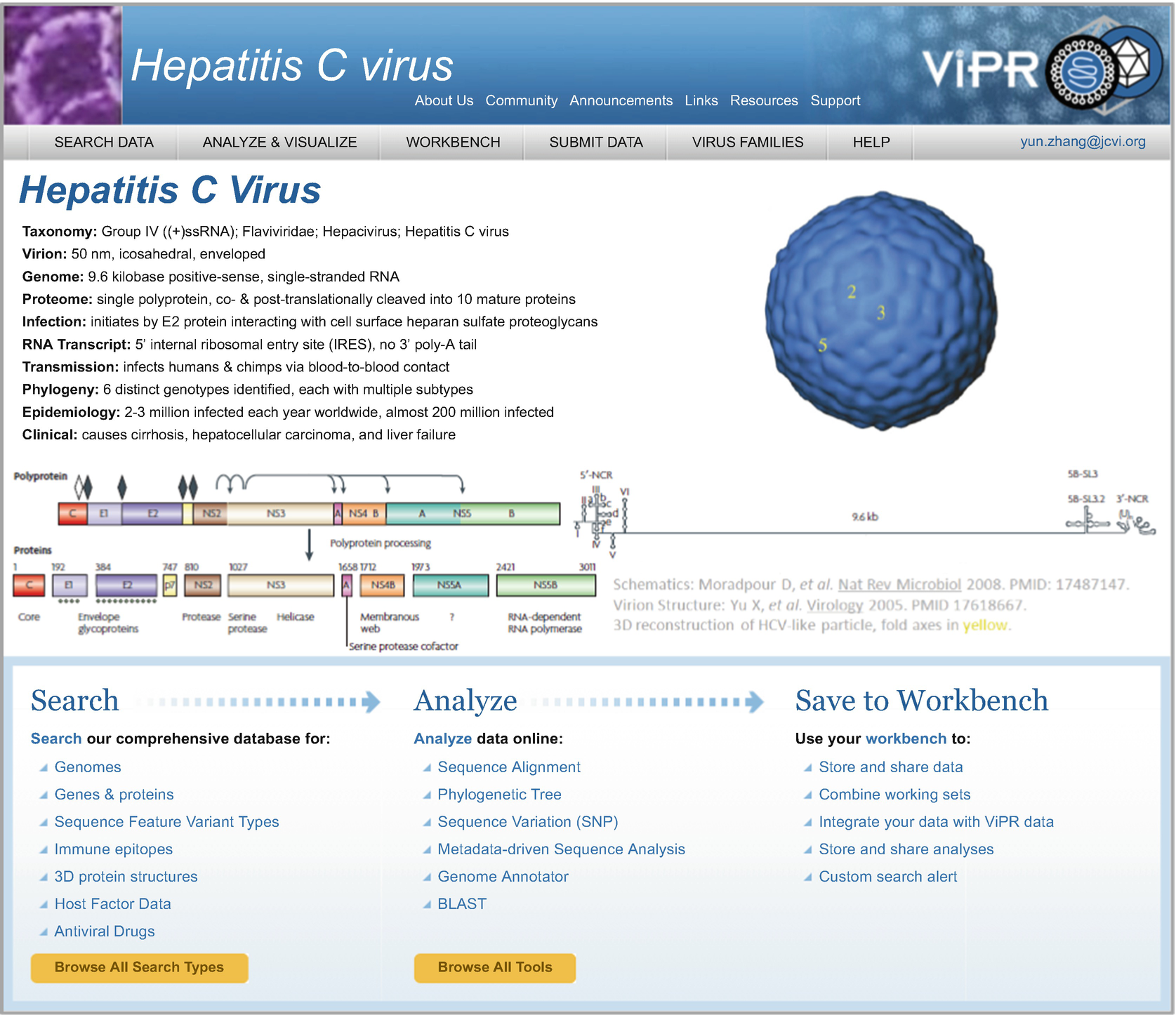 Hepatitis C Virus Database And Bioinformatics Analysis Tools In