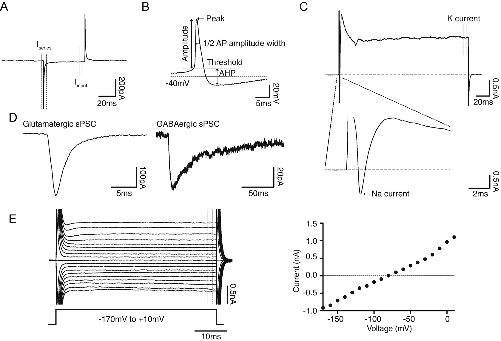 In Vitro Functional Characterization Of Human Neurons And Astrocytes Using Calcium Imaging And Electrophysiology Springerlink In Vitro Functional Characterization Of Human Neurons And Astrocytes Using Calcium Imaging And Electrophysiology Springerlink