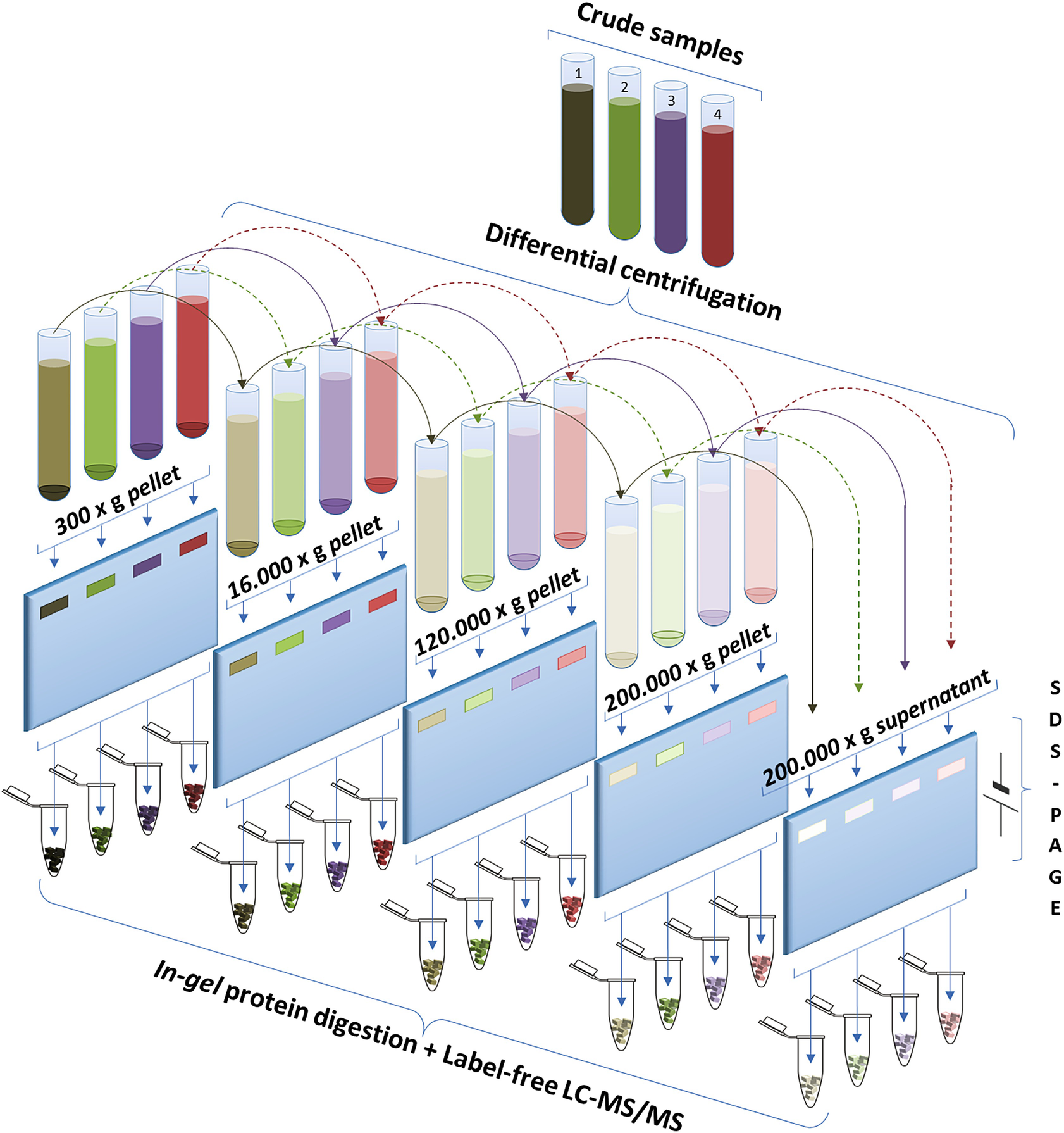 Pre Fractionation Of Noncirculating Biological Fluids To Improve Discovery Of Clinically Relevant Protein Biomarkers Springerlink