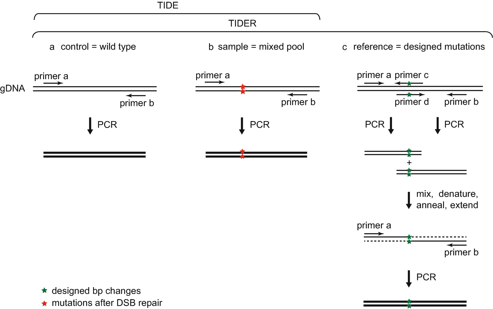 Rapid Quantitative Evaluation of CRISPR Genome Editing by TIDE and TIDER |  SpringerLink