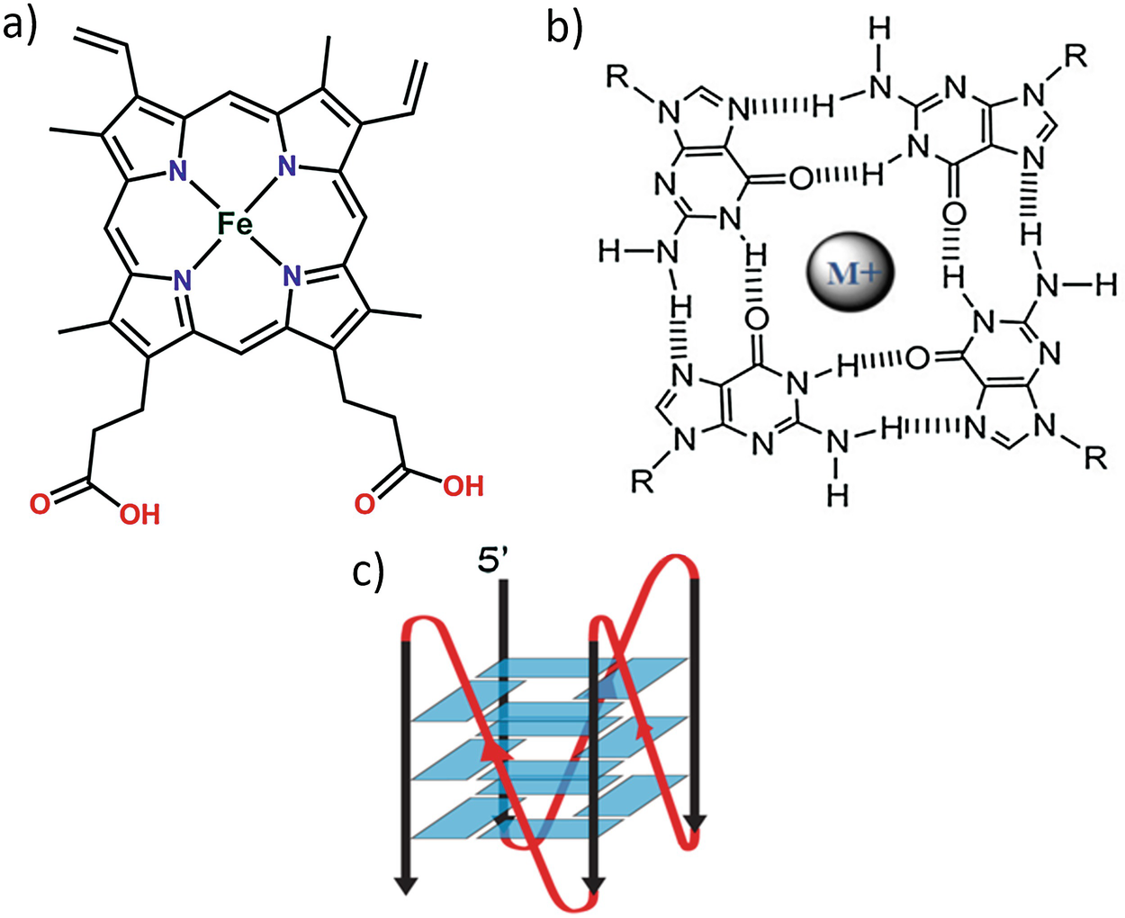 heme g quadruplex dnazymes conditions
