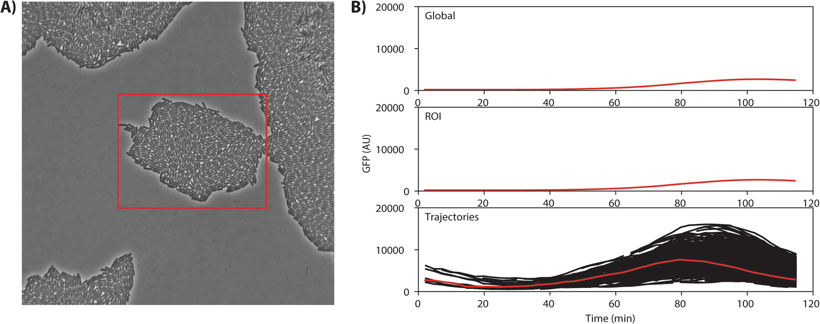 A Cell Segmentationtracking Tool Based On Machine Learning