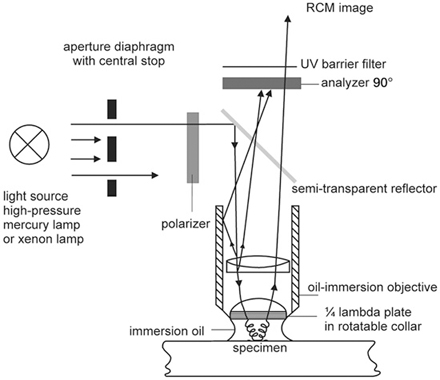 Reflection Contrast Microscopy | SpringerLink