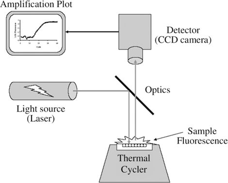 Quantitative Polymerase Chain Reaction | SpringerLink