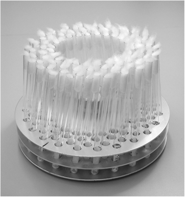 Freeze Drying Of Yeast Cultures Springerlink