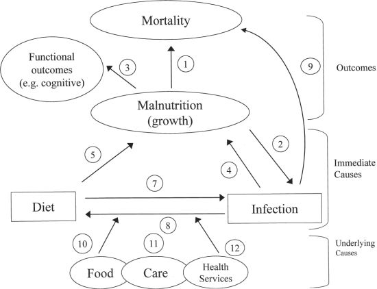 malnutrition poverty and intellectual development