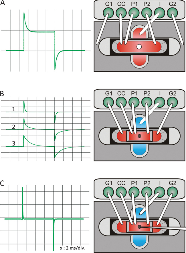The VoltageClamp Fluorometry Technique SpringerLink
