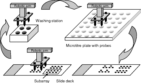 Fabrication Of Dna Microarray Springerlink