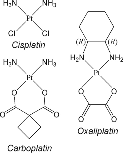 possible incorporation of free n7 platinated guanines in dna by dna cisplatin mechanism of action