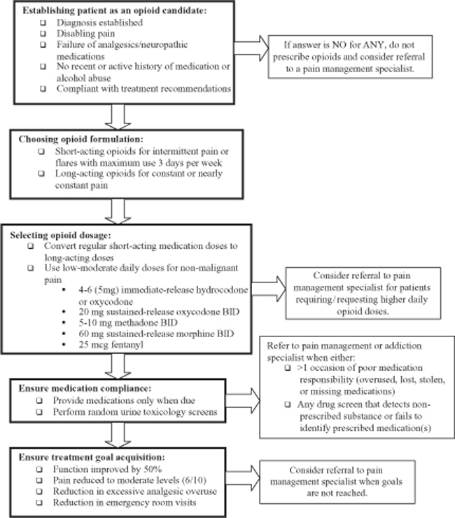 Risk Management In Chronic Pain Practice Springerlink