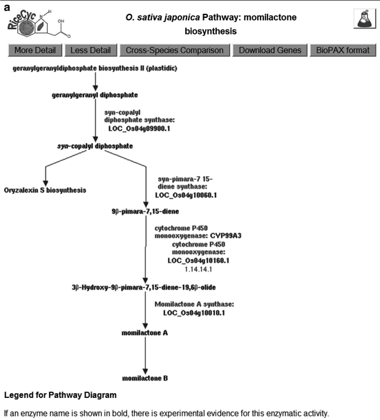 gramene database a hub for comparative plant genomics springerlink