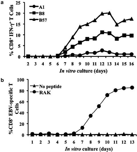 Detection And Characterisation Of Alloreactive T Cells Springerlink