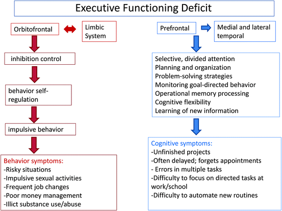 Neuropsychological Assessment Of Adhd And Executive Function Deficits In Adults Springerlink Neuropsychological Assessment Of Adhd And Executive Function Deficits In Adults Springerlink