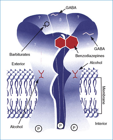 Phenobarbital And Other Barbiturates Springerlink