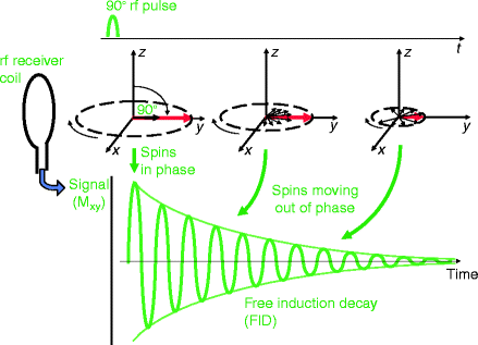Generating A Signal Rf Pulses And Echoes Springerlink