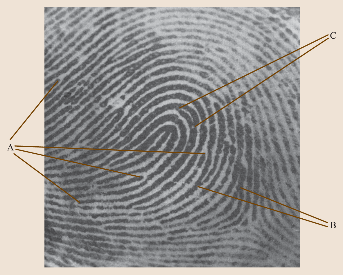 Microscopy In Forensic Sciences Springerlink