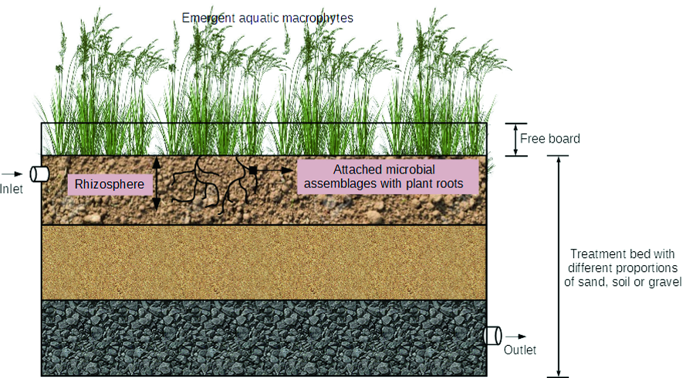 Municipal And Industrial Wastewater Treatment Using Constructed Wetlands Springerlink