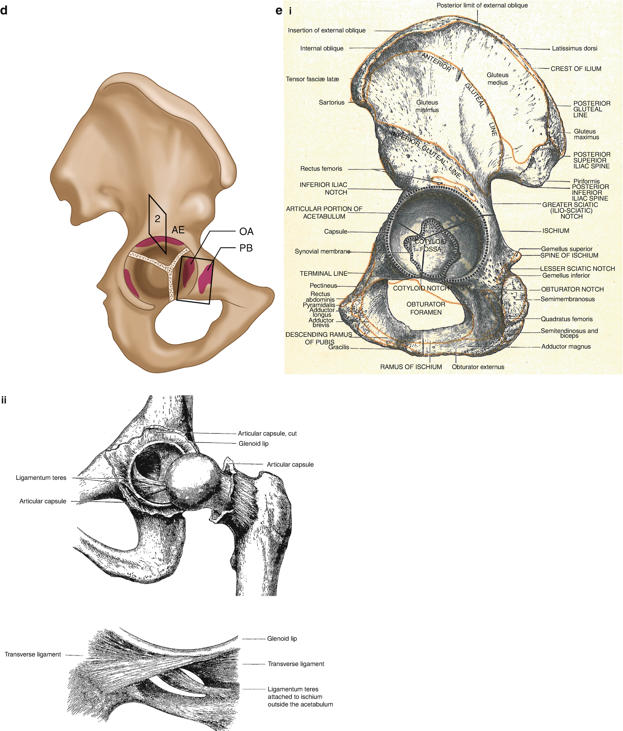 cauza durerii în articulația umărului mâinii stângi diuretic pentru bolile articulare