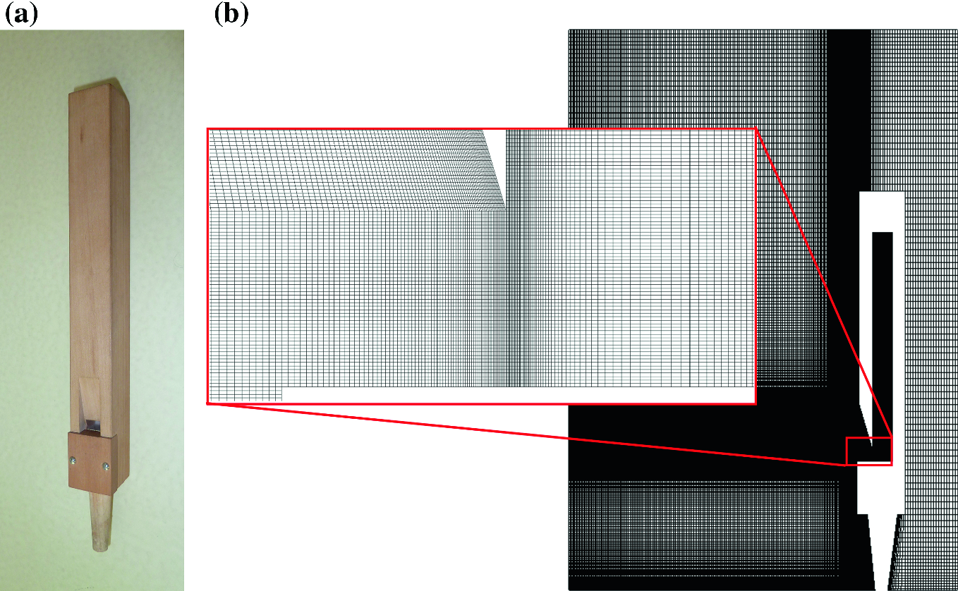 Shock Wave Characteristics In The Initial Transient Of An Organ
