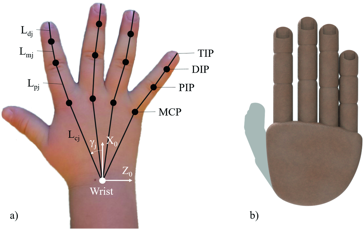 Kinematics-Based Strategy for the Design of a Pediatric Hand Exoskeleton  Prototype | SpringerLink