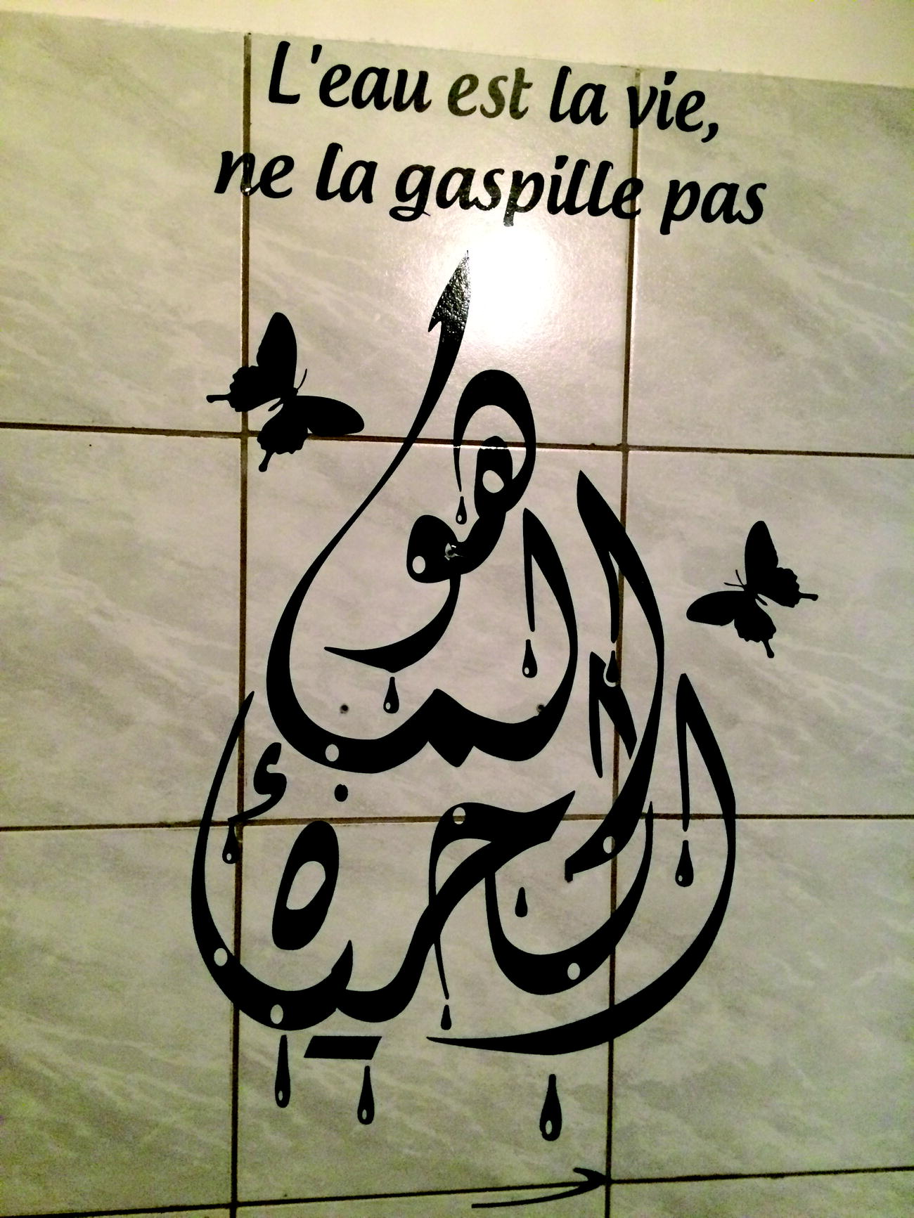 Islamic Schools Challenges Reussite And Ifsqy Samarcande Springerlink