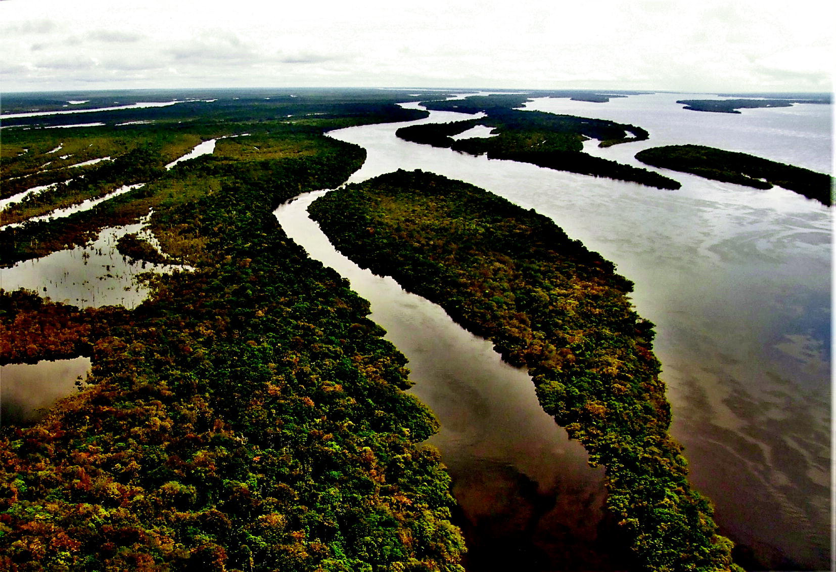 Amazonia | SpringerLink
