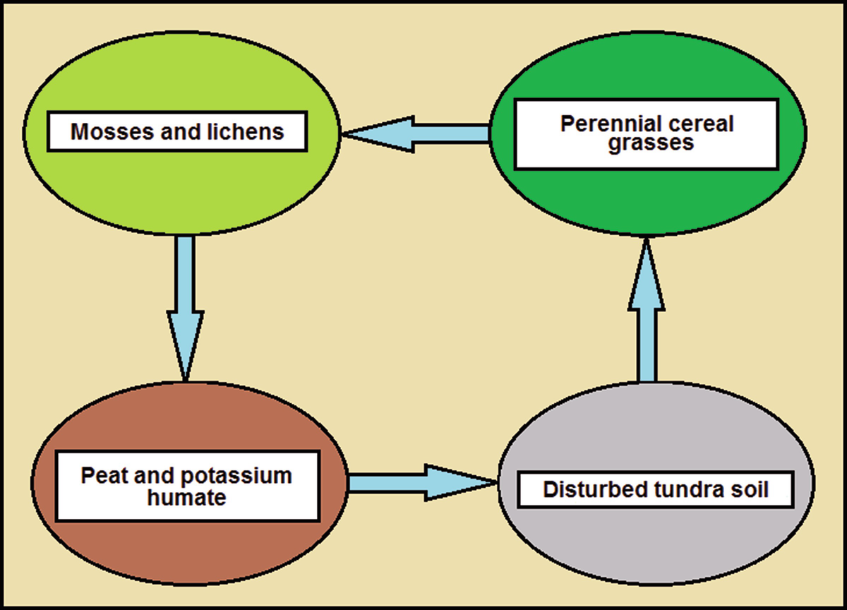 Testing Of Nature Like Biogeochemical Technologies For - 