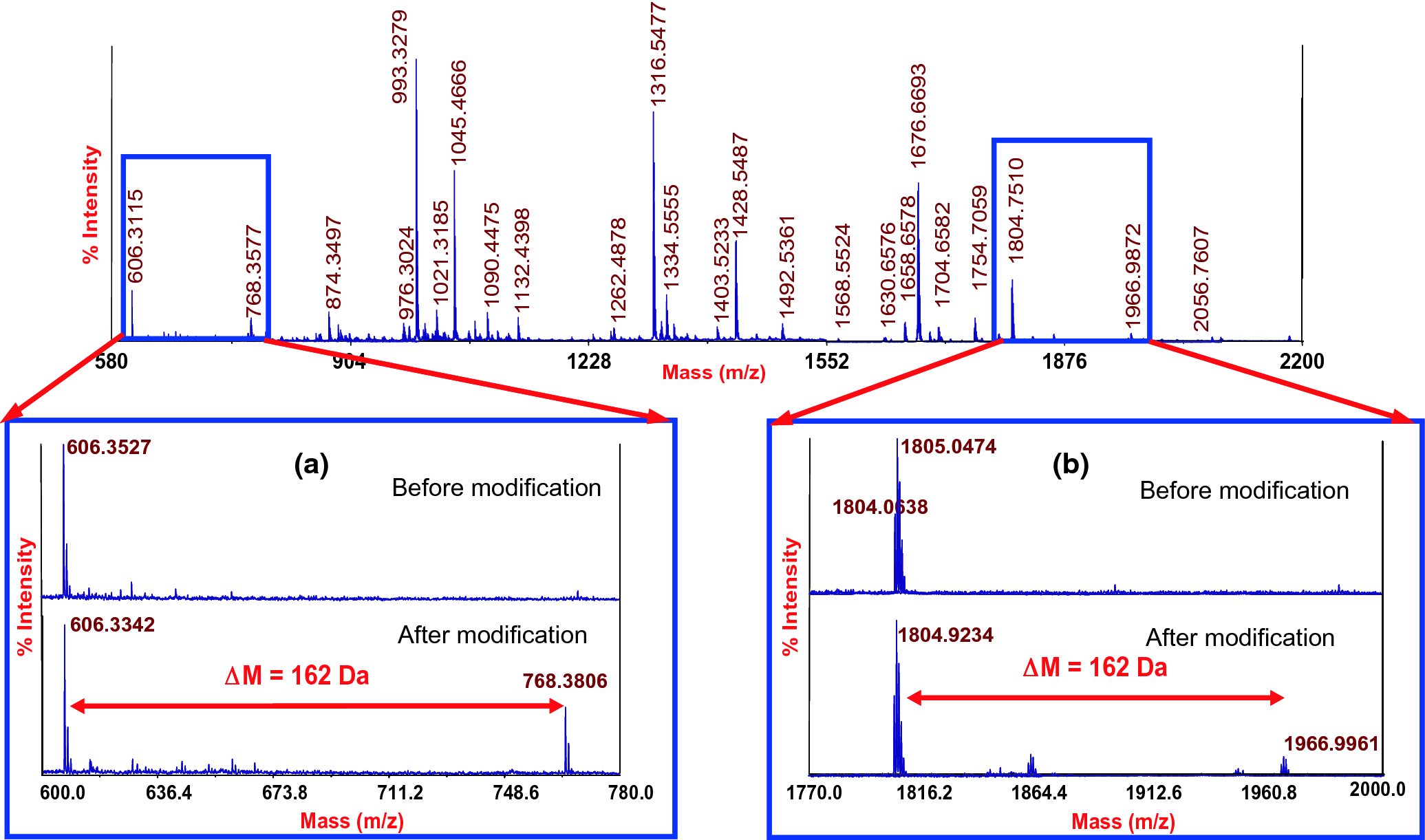Determination Of The Maillard Reaction Sites And Properties