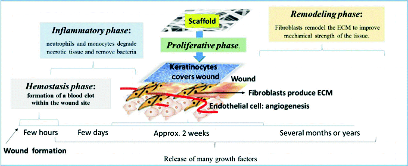 Biocompatible And Biodegradable Chitosan Composites In Wound