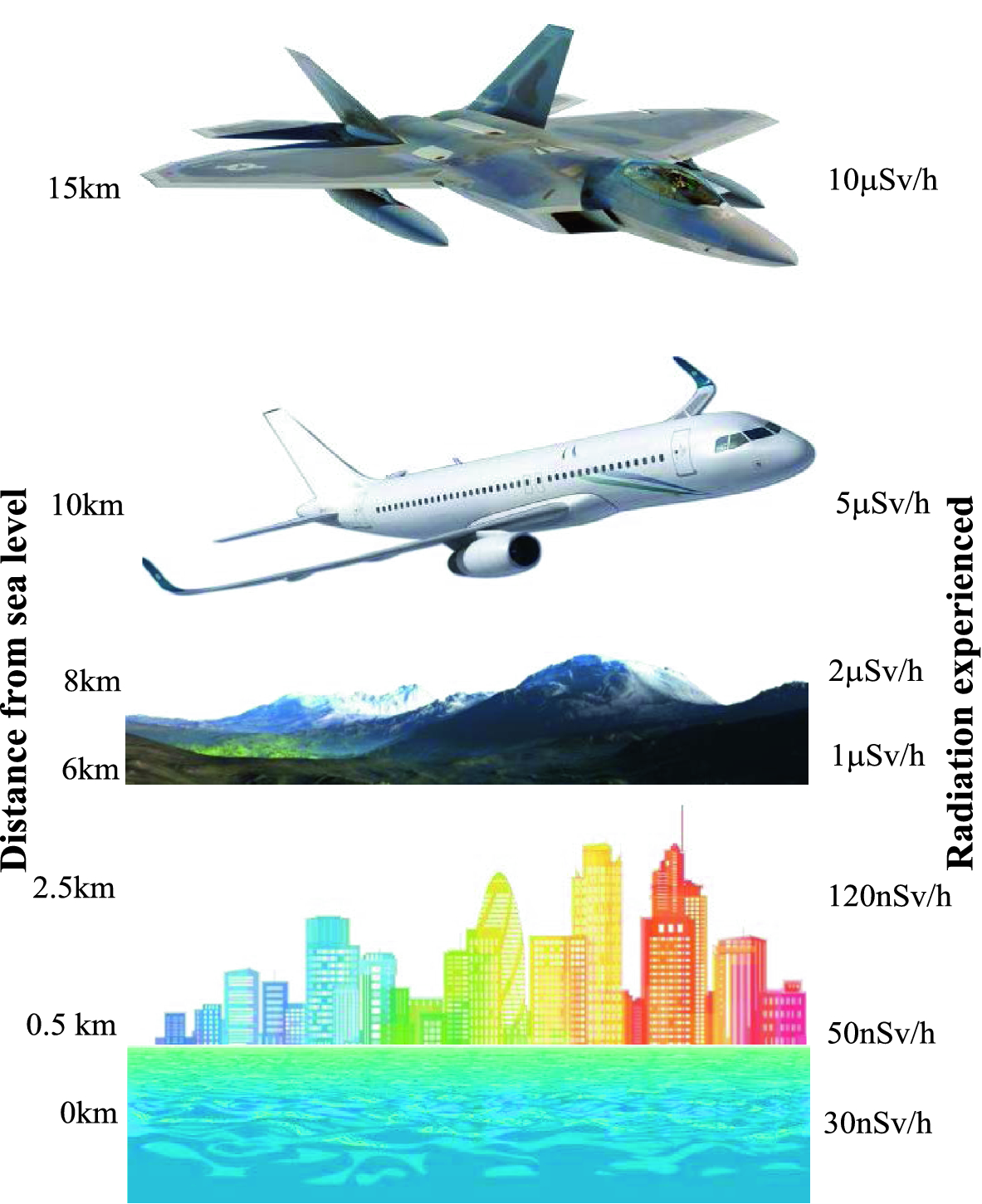 Effects Of Radiation On The Environment Springerlink - 