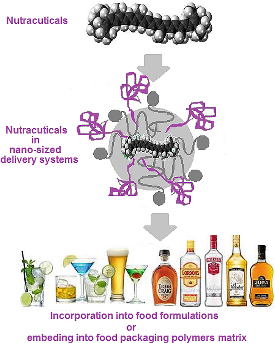 Nano Additives For Food Industries Springerlink