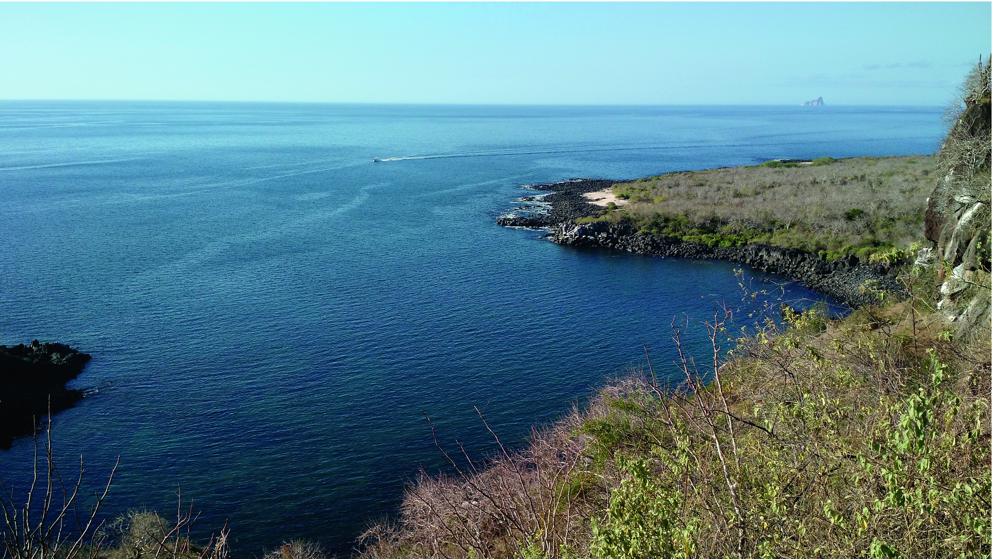 3 Platja Art De La Paret De El Panell