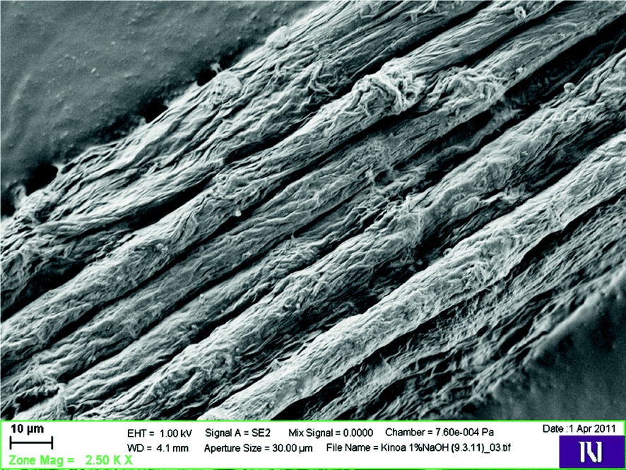 Non Conventional Plant Fibres Springerlink