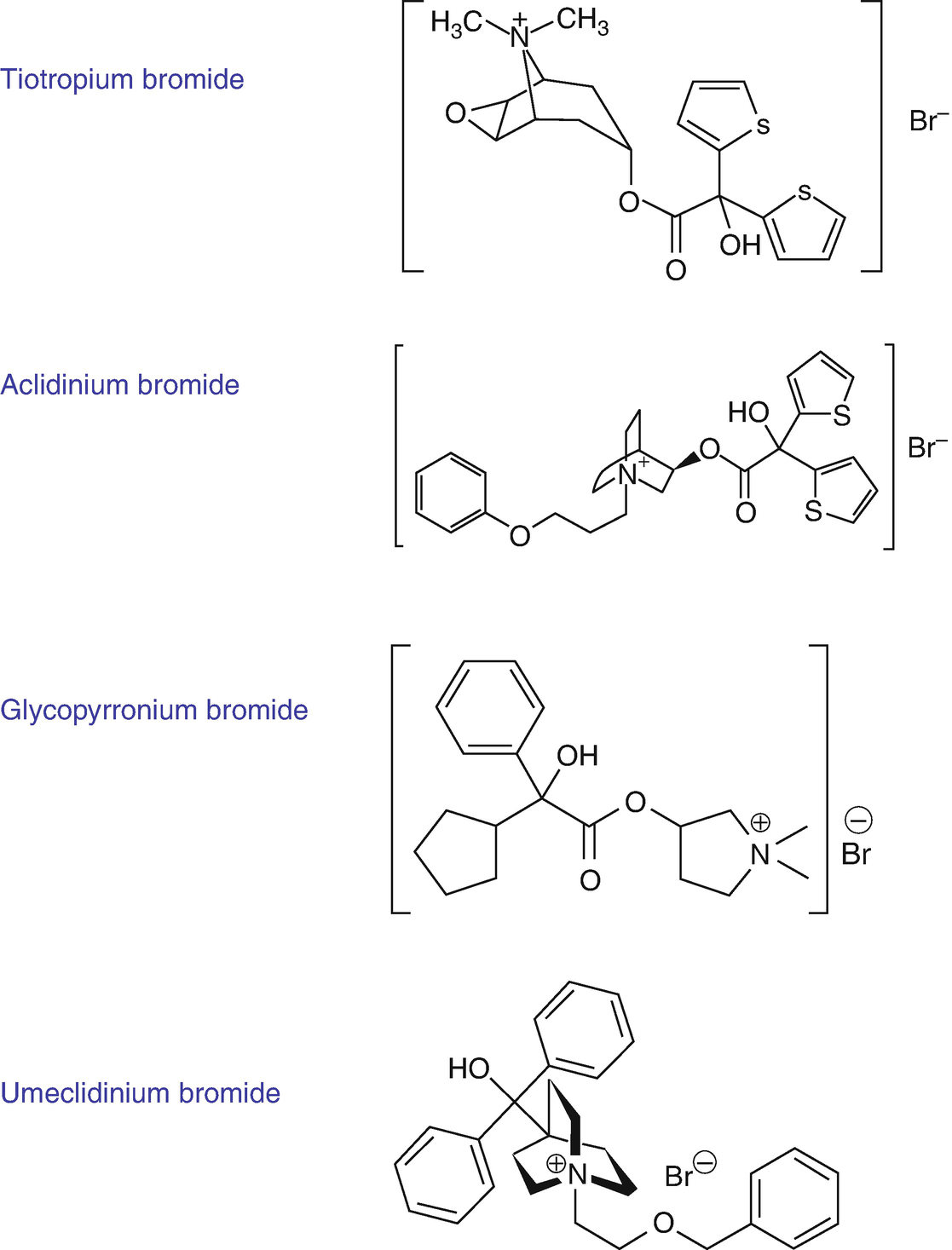 Drugs For The Treatment Of Airway Disease Springerlink