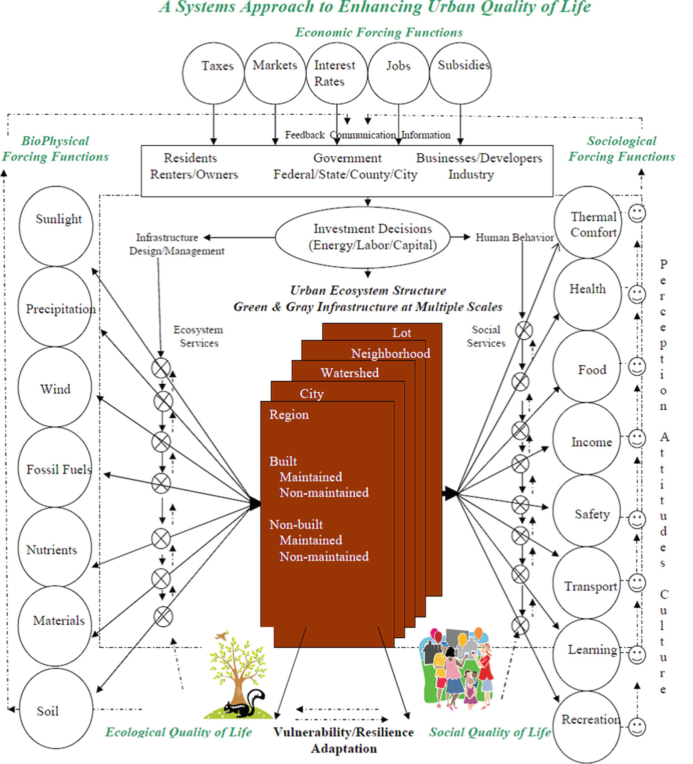 What Is Urban Ecology And Why Should We Study It Springerlink