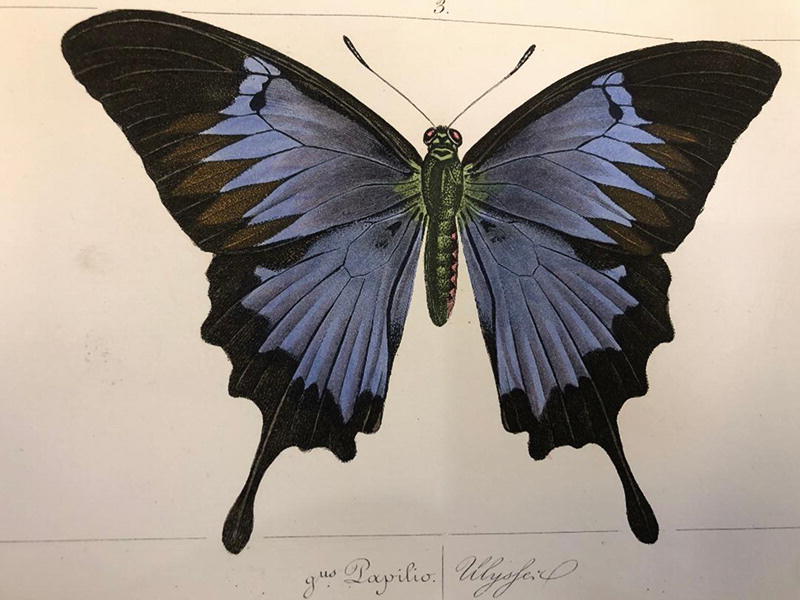 Between The Theoretical And The Hypothetical Springerlink