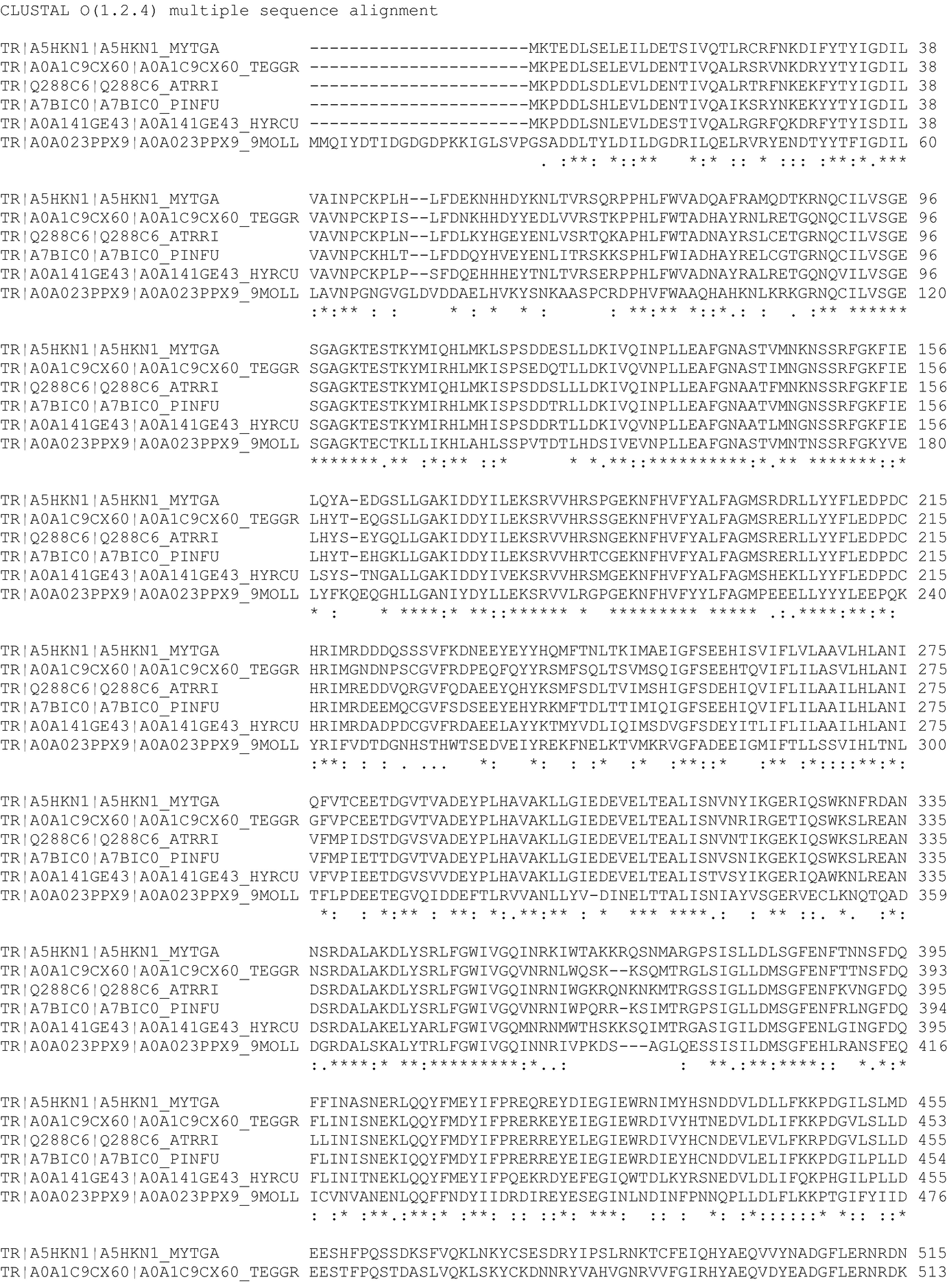 Mineral Chitin Composites In Molluscs Springerlink