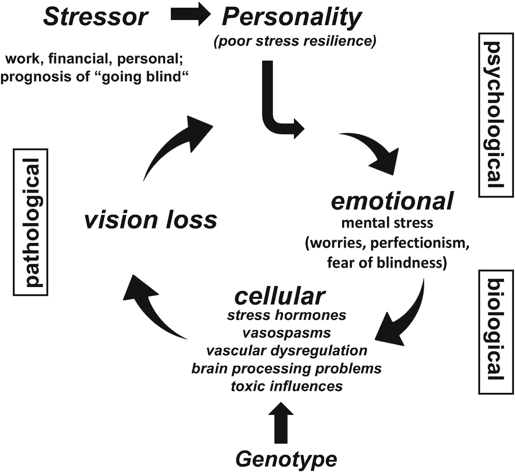 Flammer Syndrome Psychological Causes And Consequences Of Visual