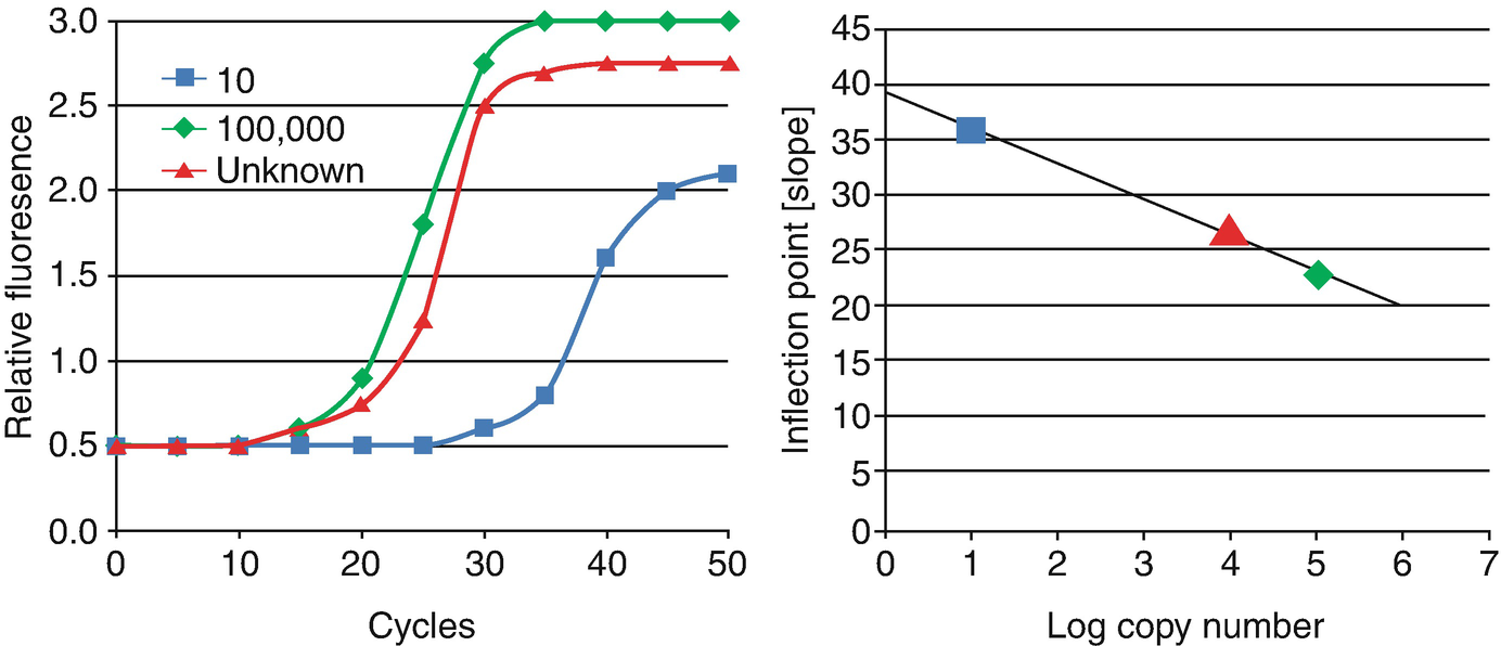Modern Techniques For Dna Rna And Protein Assessment Springerlink