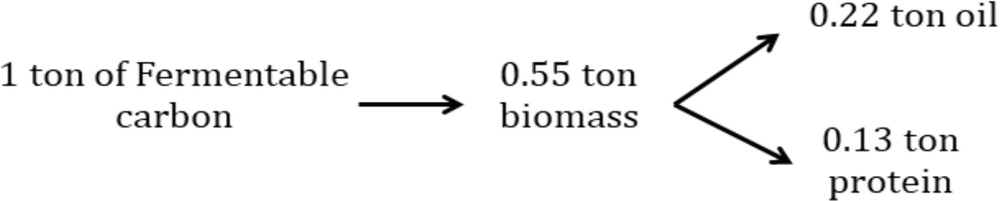 Lignocellulosic Biomass to Fungal Oils: A Radical Bioconversion Toward  Establishing a Prospective Resource | SpringerLink