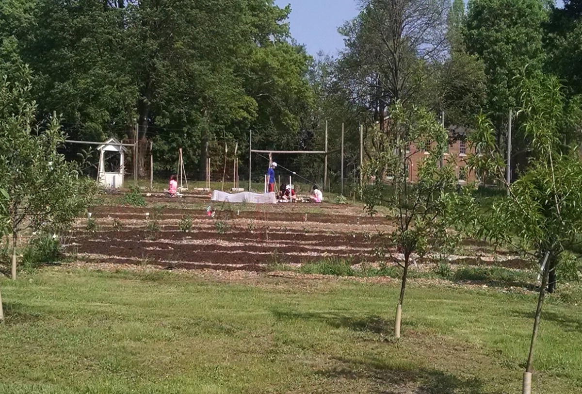 Creating An Edible Dialogue For Peace Community Gardening