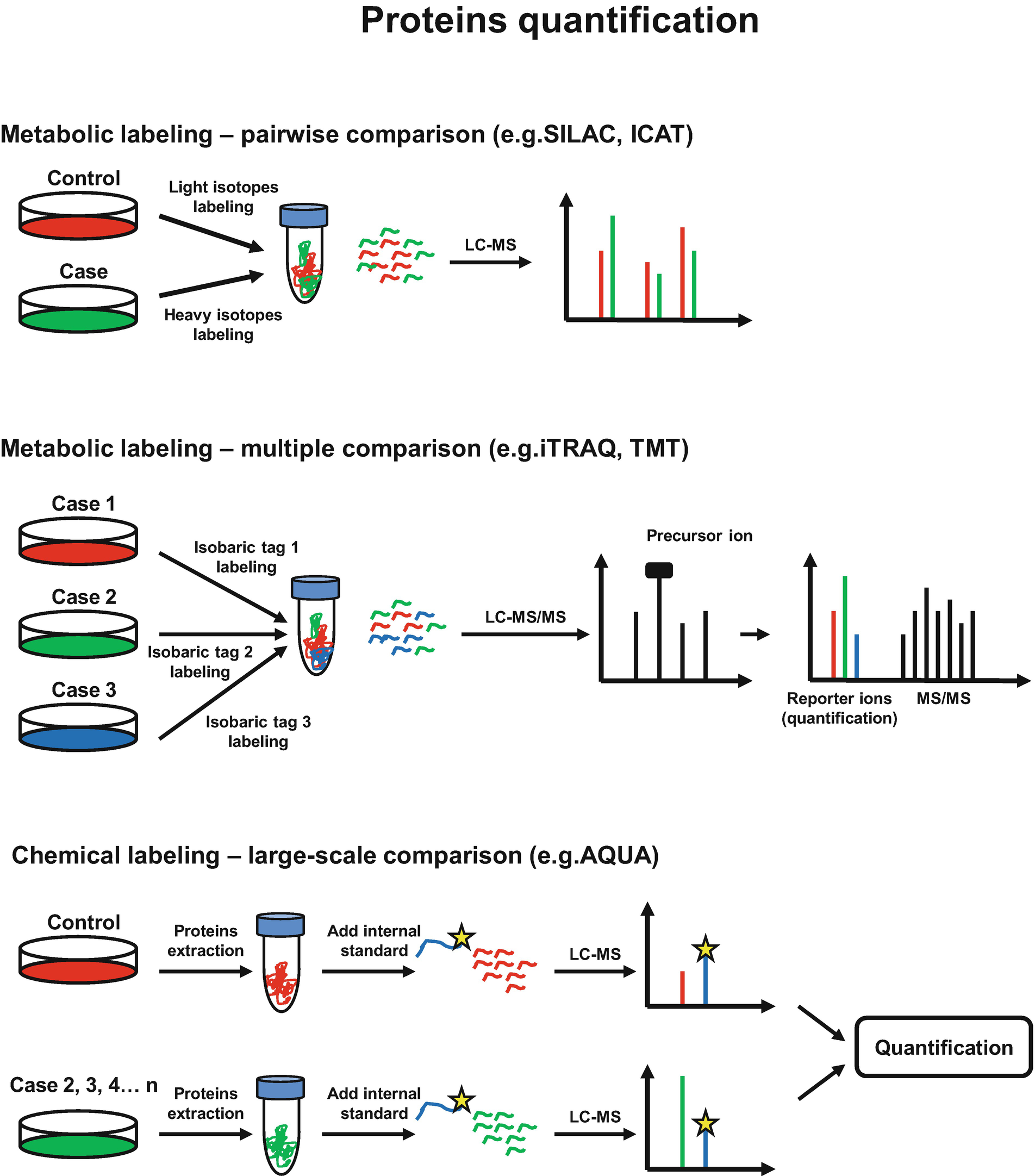 Mass Spectrometry For Proteomics Based Investigation - 
