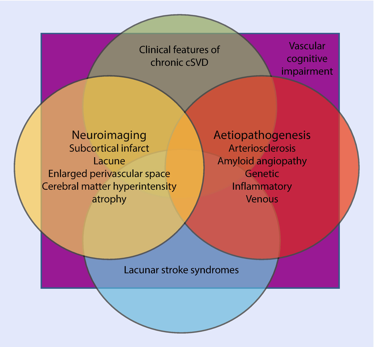 Cerebral Small Vessel Disease And Vascular Cognitive Impairment Springerlink
